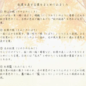 チャプター添付画像
