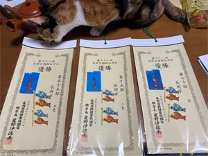 チャプター添付画像