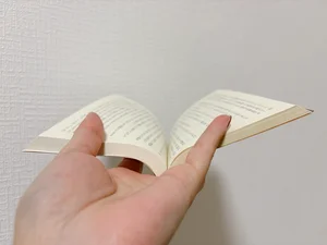チャプター添付画像
