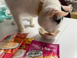 チャプター添付画像