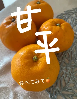 チャプター添付画像