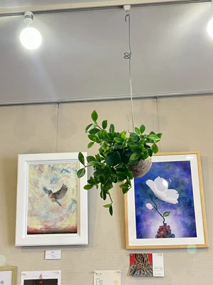 チャプター添付画像