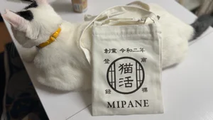 チャプター添付画像