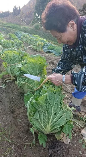 チャプター添付画像