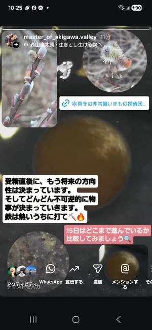 チャプター添付画像