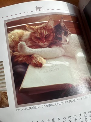 チャプター添付画像