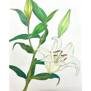 チャプター添付画像