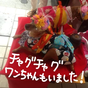 チャプター添付画像