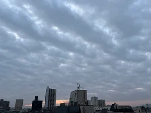 チャプター添付画像