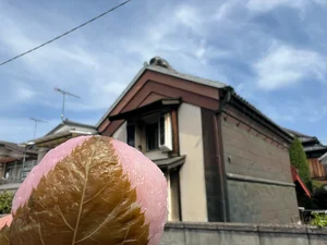 チャプター添付画像