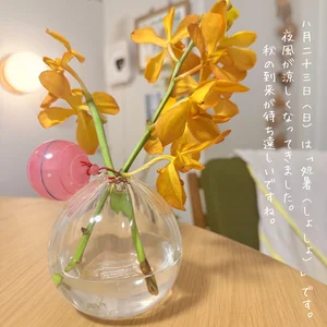 チャプター添付画像