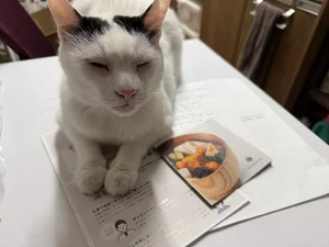 チャプター添付画像