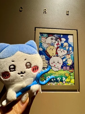 チャプター添付画像