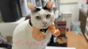 チャプター添付画像