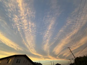 チャプター添付画像