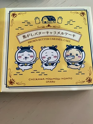 チャプター添付画像