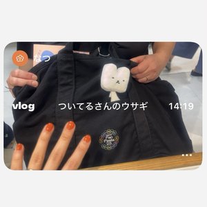 チャプター添付画像