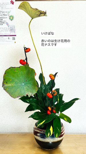 チャプター添付画像