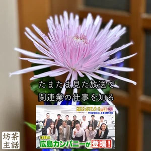 チャプター添付画像