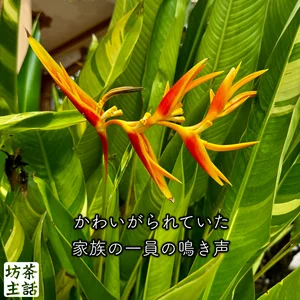 チャプター添付画像