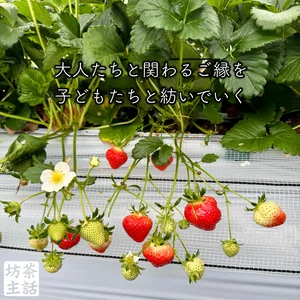 チャプター添付画像