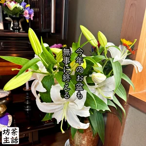 チャプター添付画像