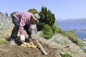チャプター添付画像