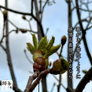 チャプター添付画像