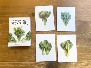 チャプター添付画像