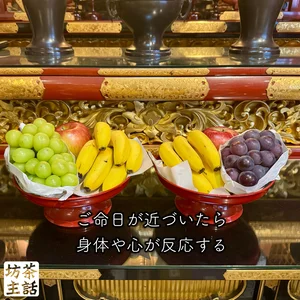 チャプター添付画像