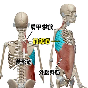チャプター添付画像