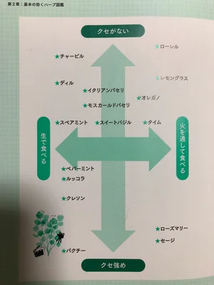 チャプター添付画像