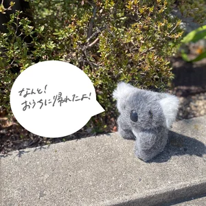 チャプター添付画像