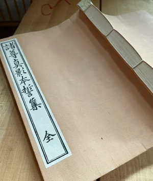 チャプター添付画像