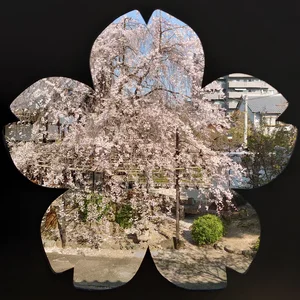 チャプター添付画像
