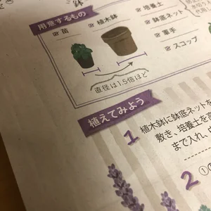 チャプター添付画像