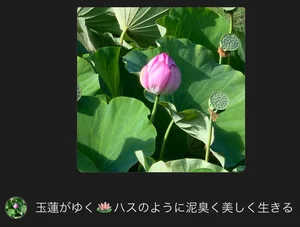 チャプター添付画像