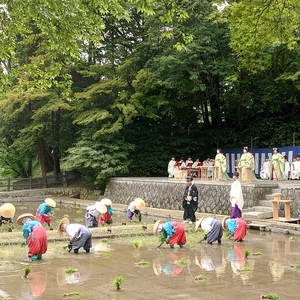 チャプター添付画像