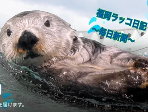 チャプター添付画像