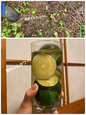 チャプター添付画像