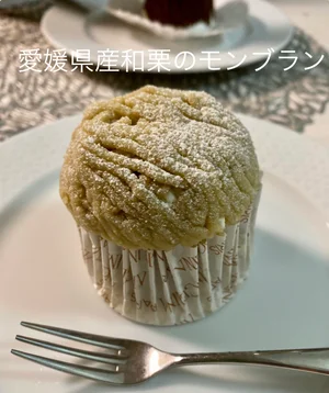 チャプター添付画像