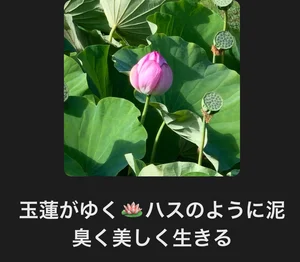 チャプター添付画像