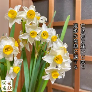 チャプター添付画像