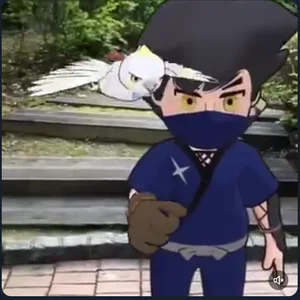 チャプター添付画像