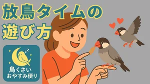 チャプター添付画像