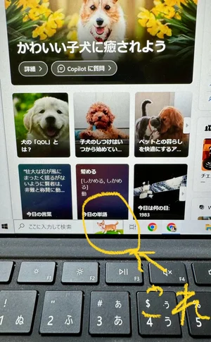 チャプター添付画像