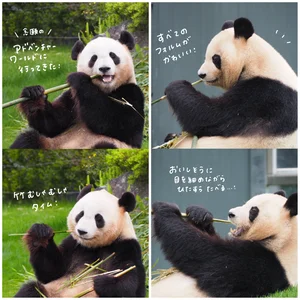 チャプター添付画像