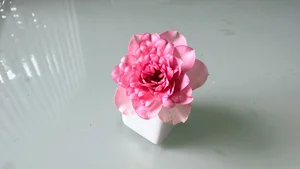 チャプター添付画像
