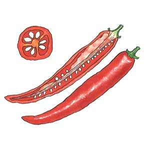 チャプター添付画像