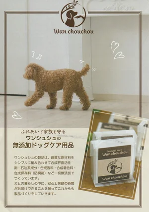 チャプター添付画像